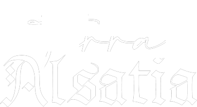 Terra Alsatia titre du spectacle en accueil du site